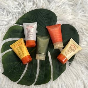 Mixed Chicks Mini’s